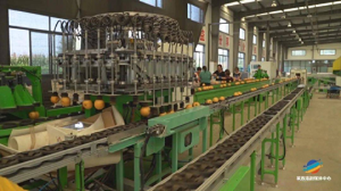 The First Fruit Standardization Origin Service Forum