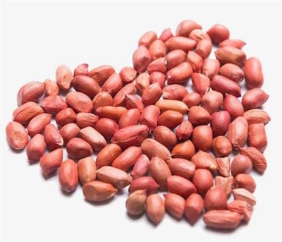 Fresh Large Raw Peanuts