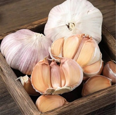 Garlic Purple Color