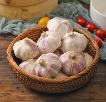 Purple Multi-Clove Garlic